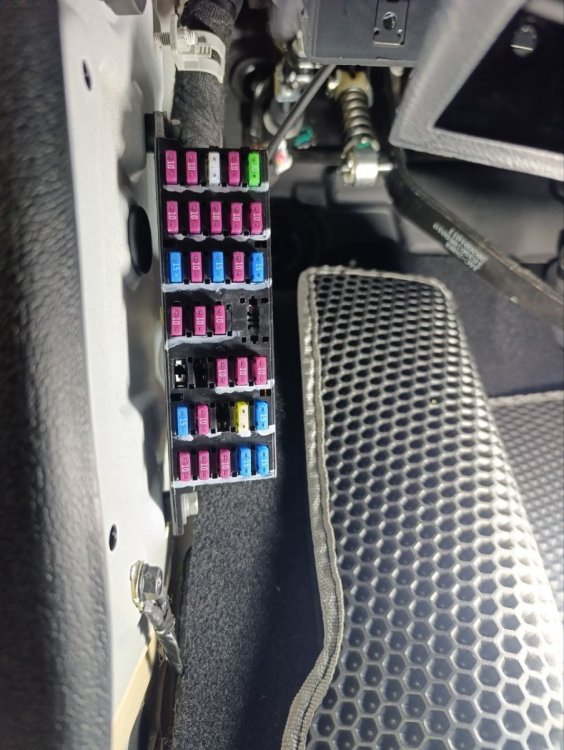IMG_20261025_104945_606.jpg